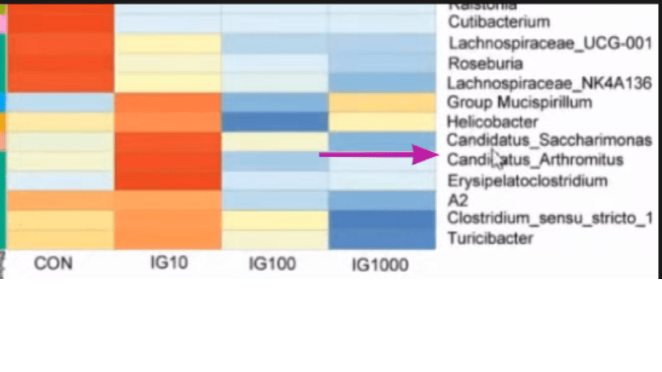 La supplémentation en iode à dose 10 augmente la prévalence d'espèces pathogènes telles Helicobacter et le Candida Albicans