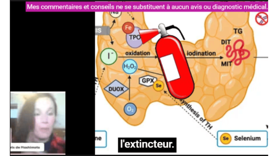 La GPX agit comme un extincteur dans la thyroïde dès que la réaction d'oxydation de l'iode s'emballe.