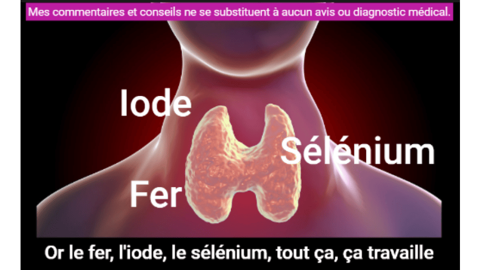 Iode, fer et sélénium travaillent de concert dans la thyroïde.