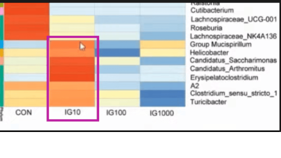 Effet d'un supplément d'iode sur le microbiote.